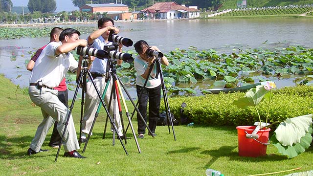 园区处处是绿地,这里:不是公园,胜似公园!.jpg 园区处处是绿地,这里:不是公园,胜似公园!.jpg