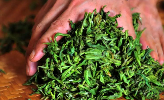 茶的第一次生命,来自于制茶人-4.jpg 茶的第一次生命,来自于制茶人-4.jpg