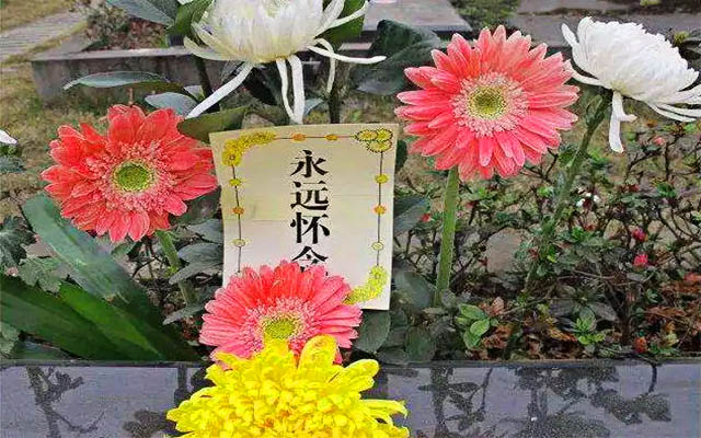 花开花落满天飘,寄托哀思坟边绕.恋恋不舍缓离去,敬叩亡灵纸钱烧.