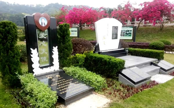 爱心大使:丛飞,邢丹夫妇 艺术纪念